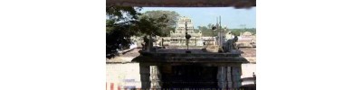 041. திருவயிந்திரபுரம் (அயிந்தை)